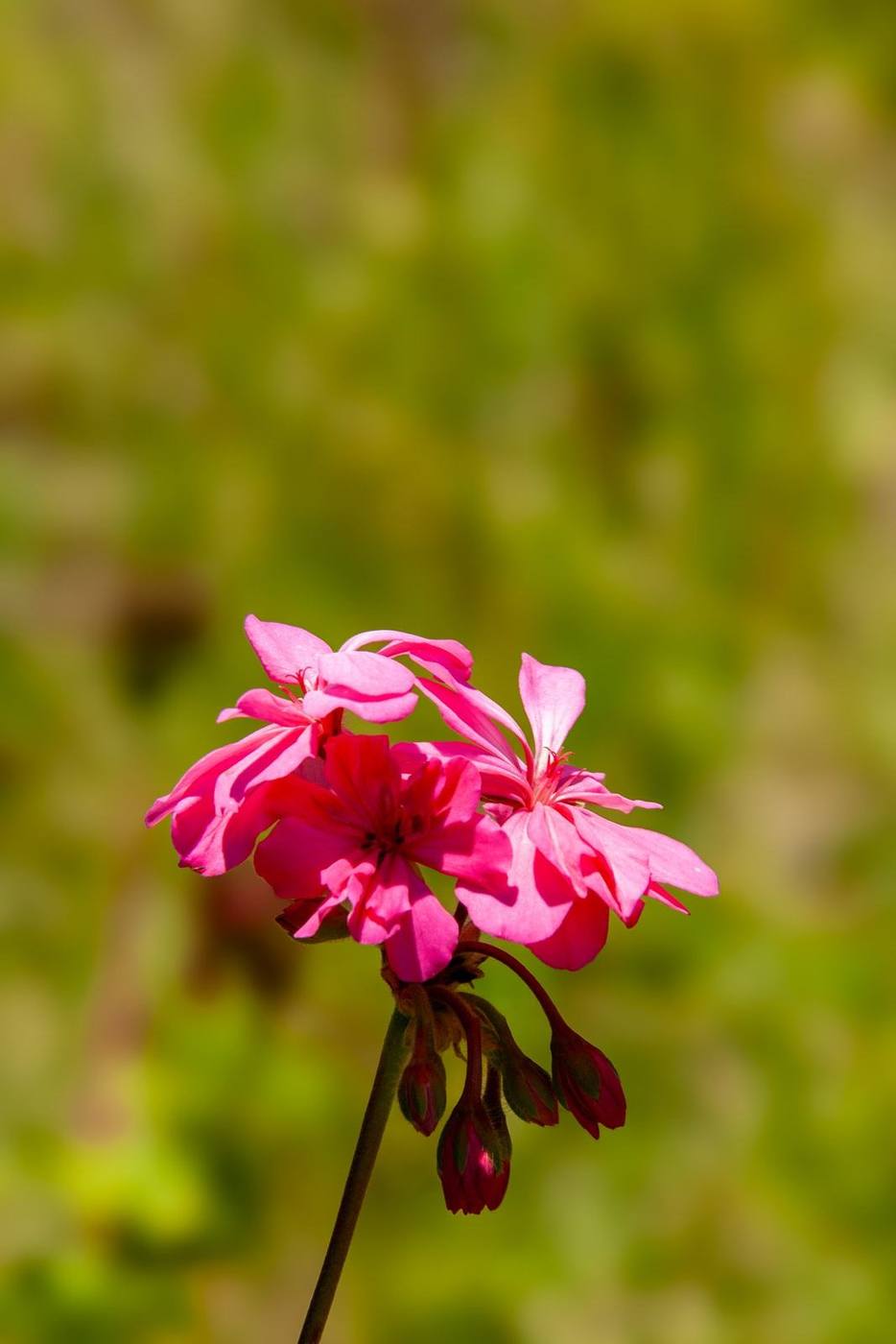 Best of 2023 — frame 19